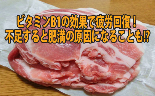 豚肉のアイキャッチ画像